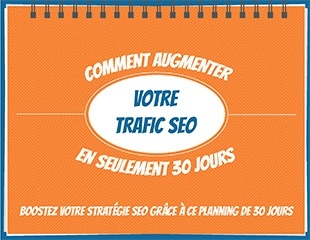 livre blanc SEO